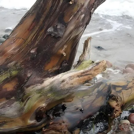 公寓 Ostsee 蒂德雷克沙恩