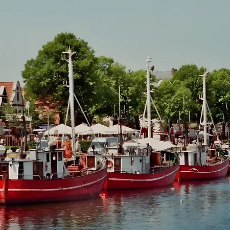 公寓 Ostsee 蒂德雷克沙恩